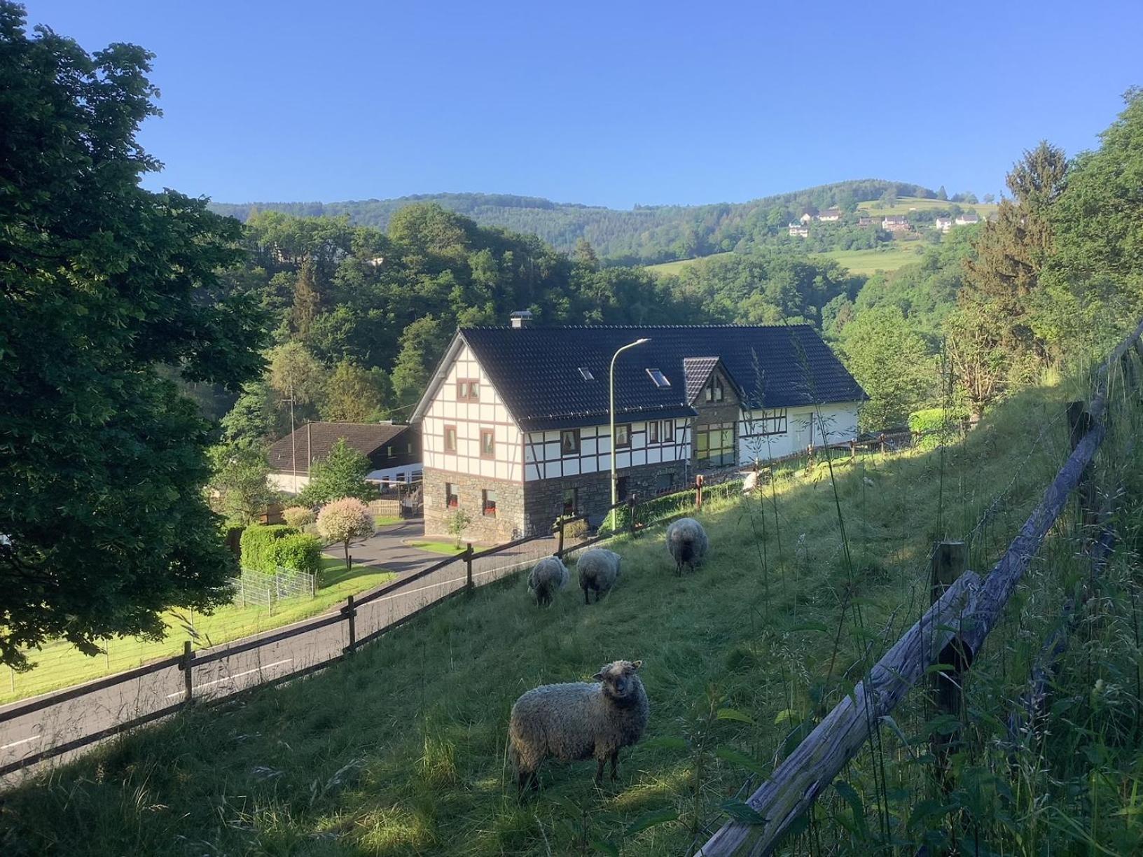 Berg Blick Eifler Bauernhaus Modern Restauriert Simmerath Extérieur photo