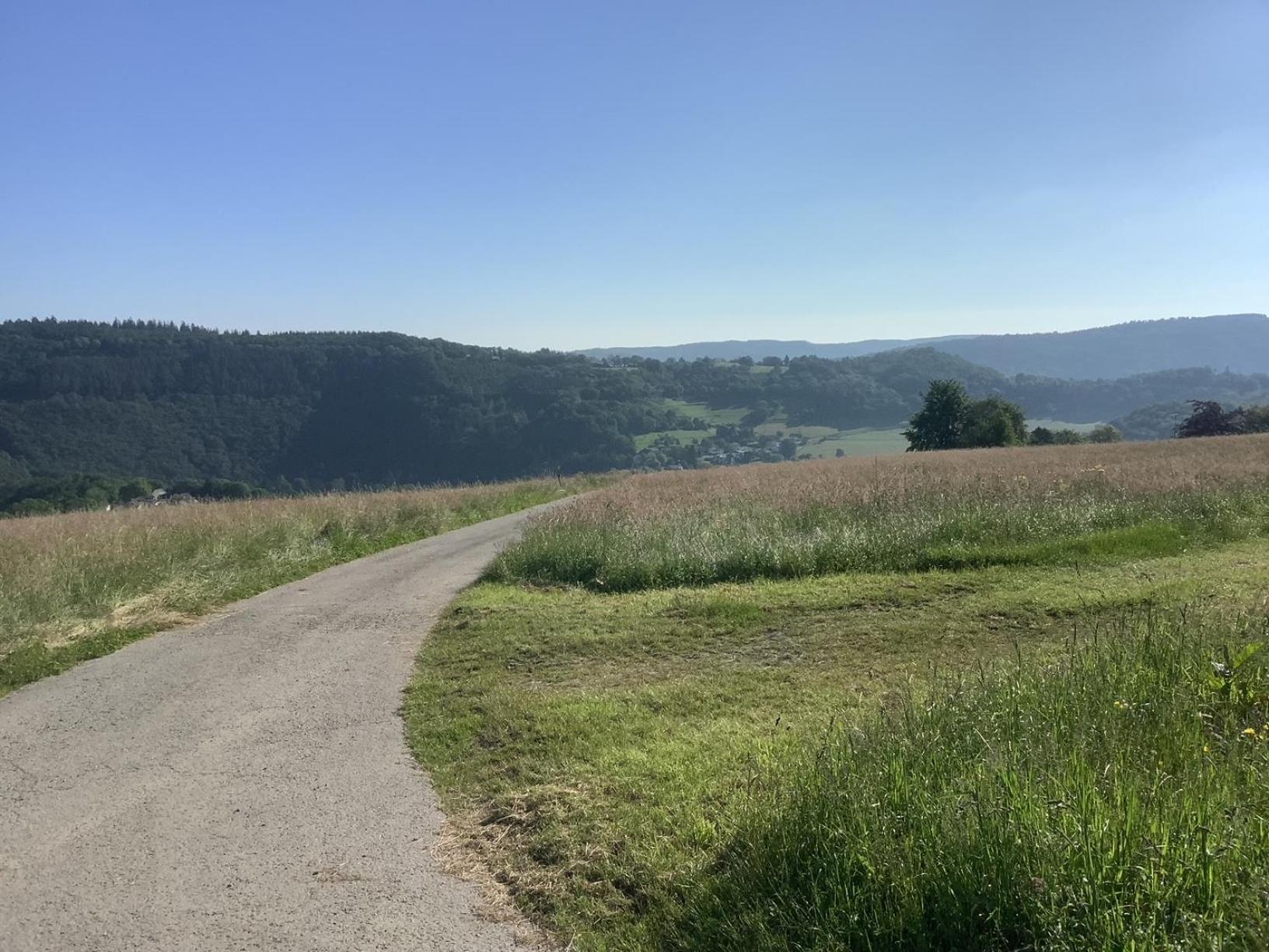 Berg Blick Eifler Bauernhaus Modern Restauriert Simmerath Extérieur photo